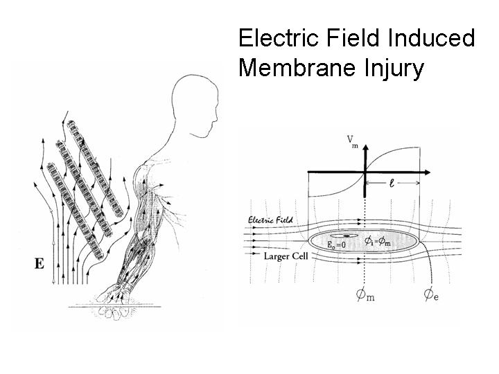 Chicago Electrical Trauma Rehabilitation Institute